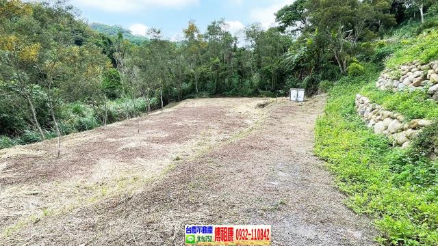 新竹竹東農地-2
