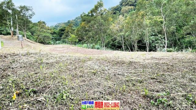 新竹竹東農地-8