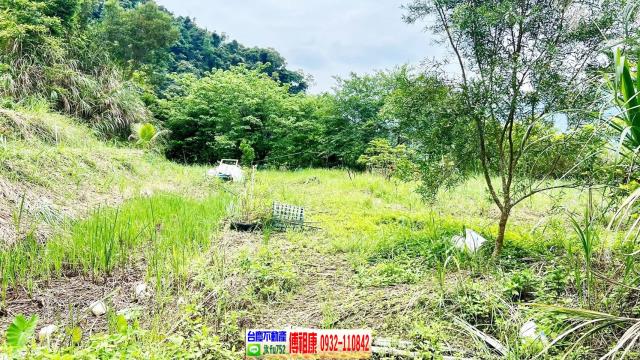 新竹橫山農地-5