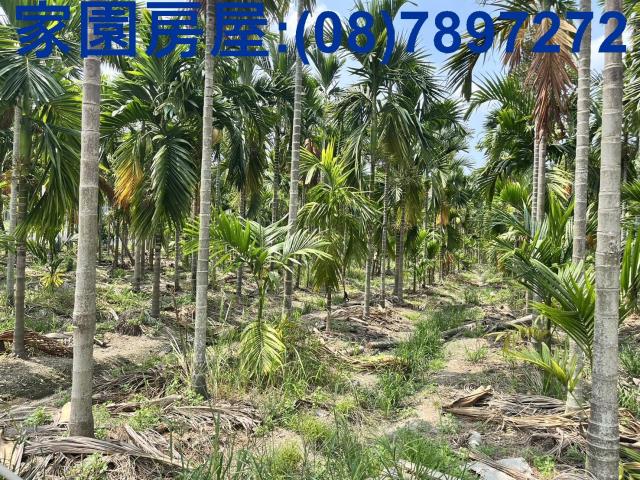 屏東農地_休閒地-3
