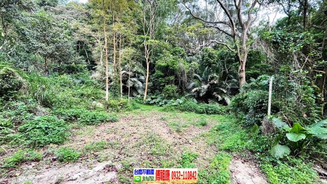 新竹農地_林地-10