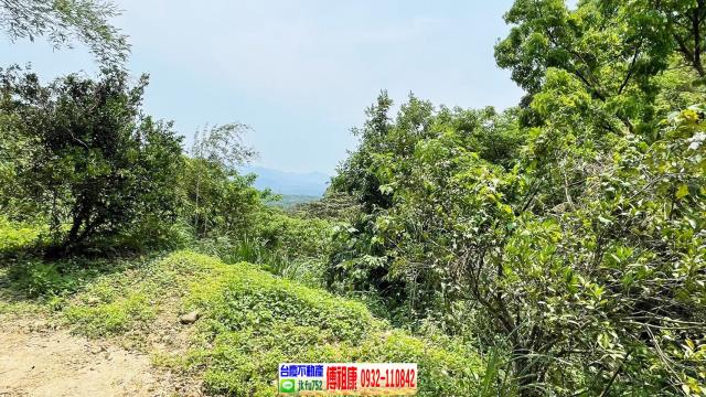 新竹農地_林地-11