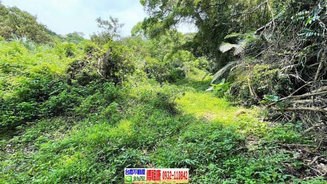 新竹農地_林地-15