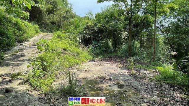 新竹農地_林地-7