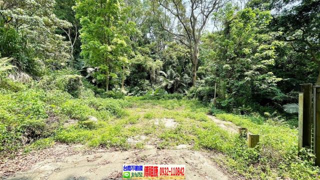 新竹農地_林地-8