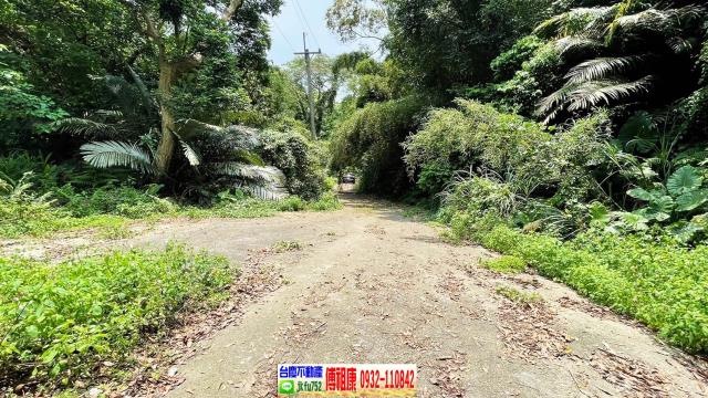 新竹農地_林地-9