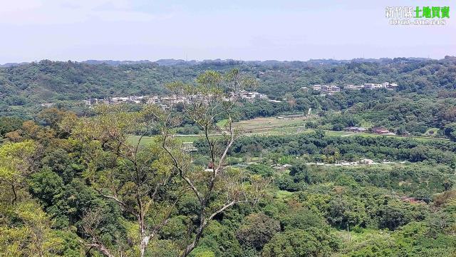 新竹農地_山坡地-1