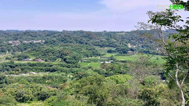 新竹農地_山坡地-11