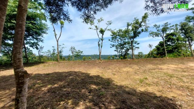 新竹農地_山坡地-12