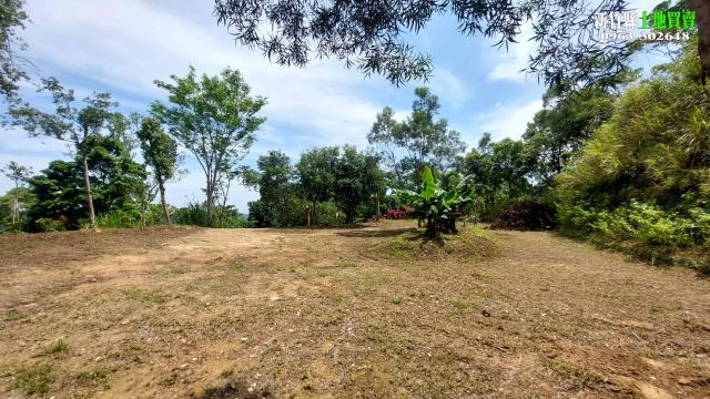 新竹農地_山坡地-13