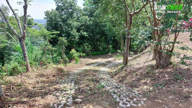 新竹農地_山坡地-3