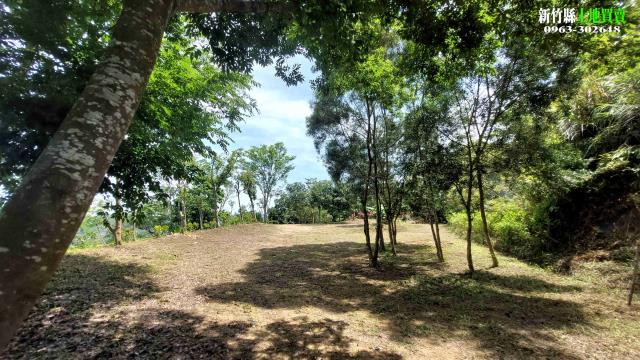 新竹農地_山坡地-9
