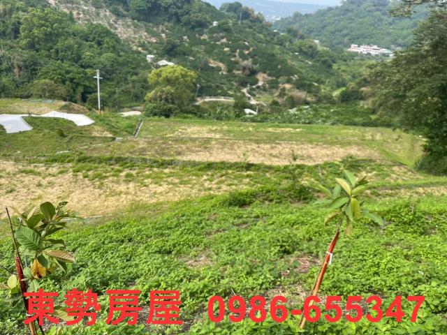 台中東勢農地-7