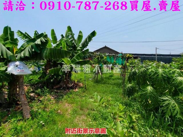 新營農地_建地-15