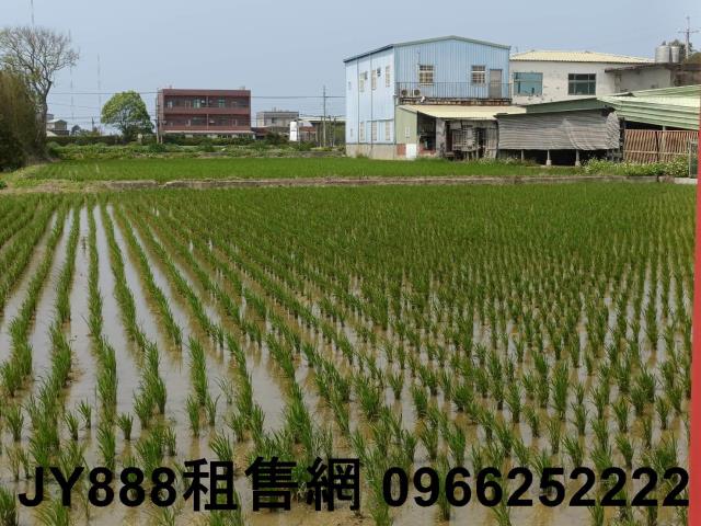 新竹新豐農地-8