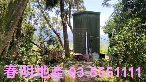 橫山農地_林地-10