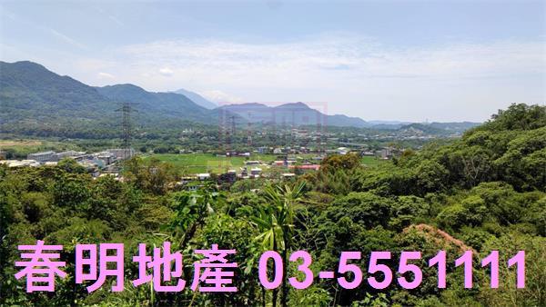 橫山農地_林地-11
