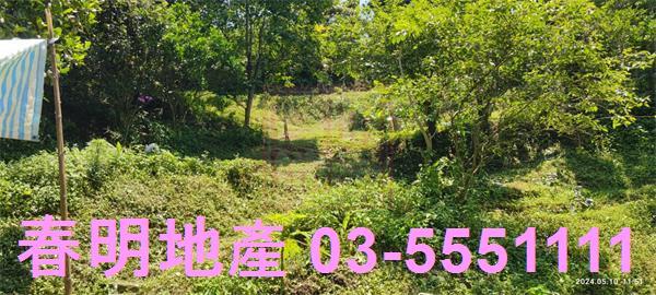 橫山農地_林地-5