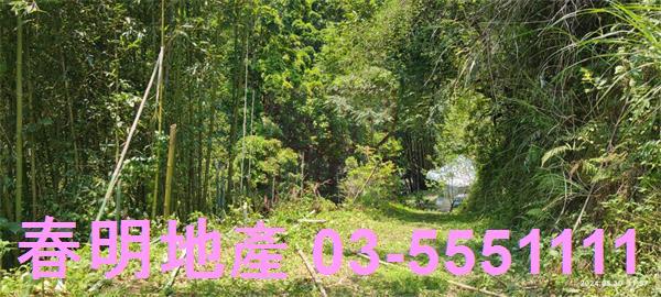 橫山農地_林地-6