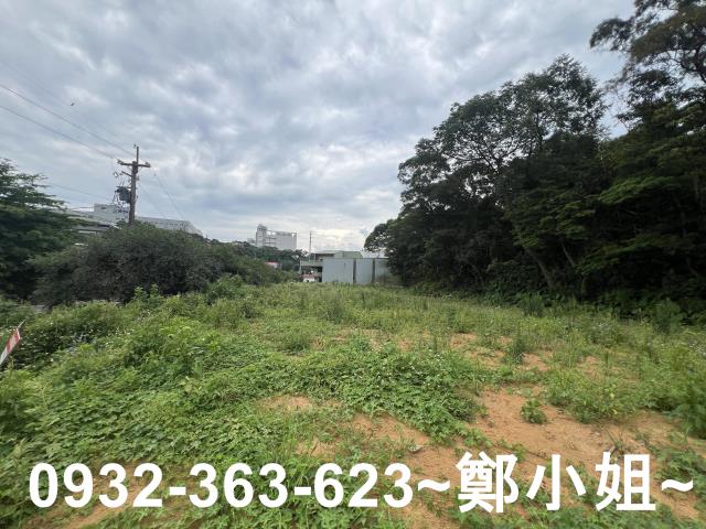 桃園平鎮農地-9