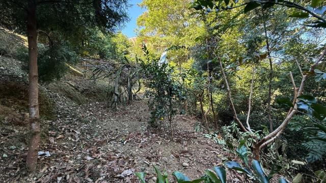新竹山坡地-15