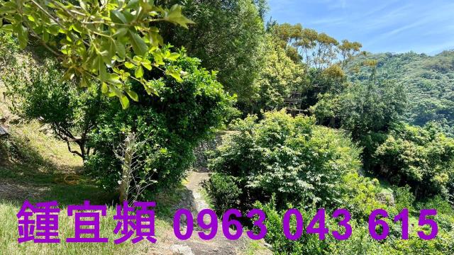 新竹芎林農地_山坡地_休閒地-14