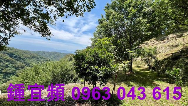 新竹芎林農地_山坡地_休閒地-8