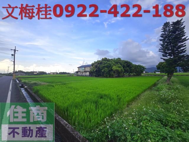 宜蘭三星農地-5