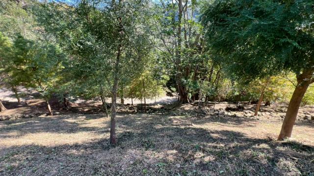 峨眉農地_山坡地-12