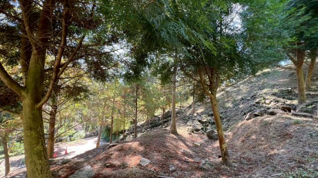 峨眉農地_山坡地-13