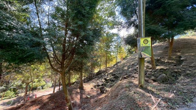 峨眉農地_山坡地-14