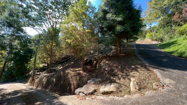 峨眉農地_山坡地-15