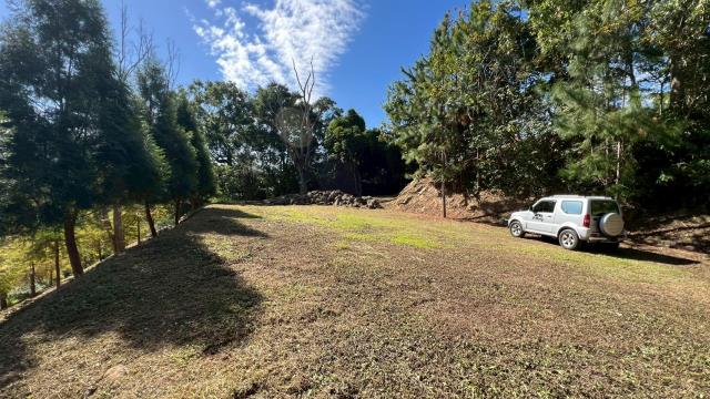 峨眉農地_山坡地-3