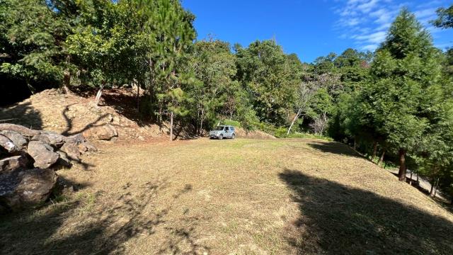 峨眉農地_山坡地-5