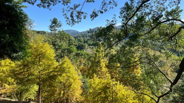 峨眉農地_山坡地-6