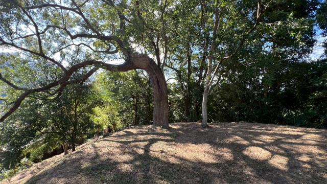 峨眉農地_山坡地-7