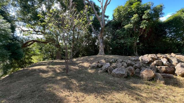 峨眉農地_山坡地-8