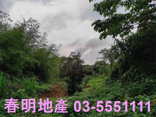 新竹竹東農地-8
