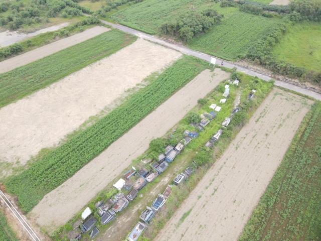 台南西港農地-3