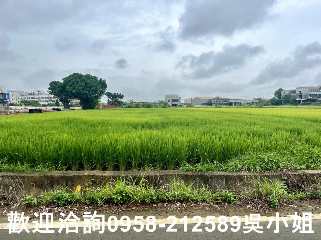 新竹農地-3