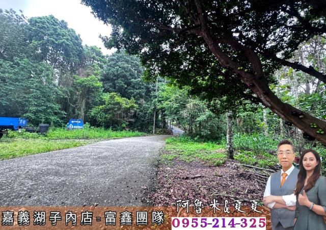 嘉義農地_建地_農建地-1