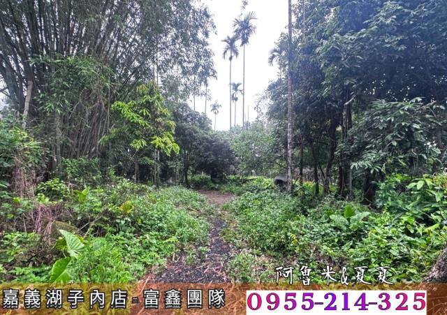 嘉義農地_建地_農建地-2
