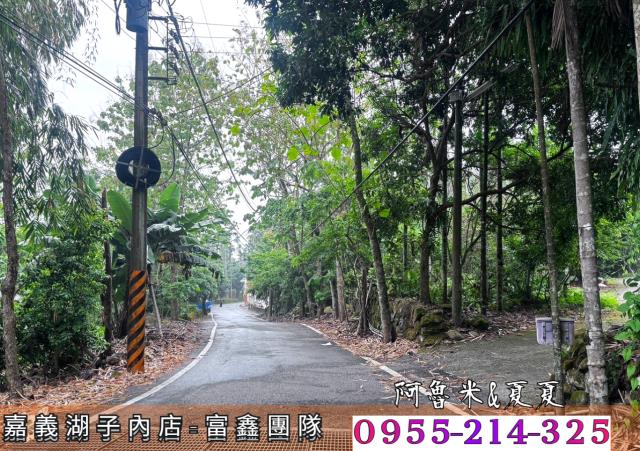 嘉義農地_建地_農建地-3