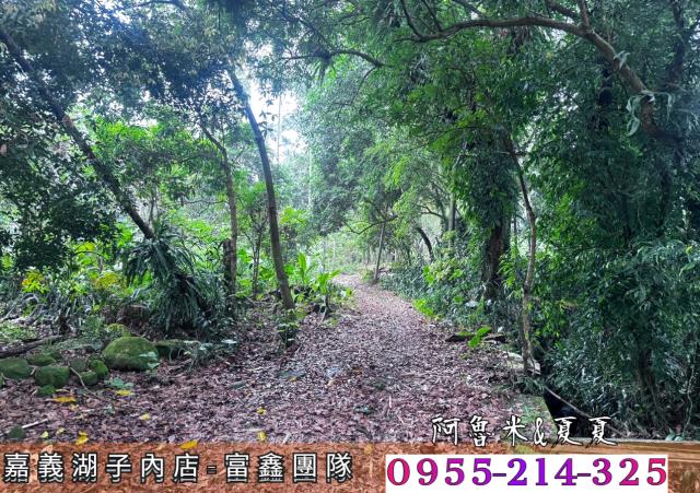 嘉義農地_建地_農建地-4
