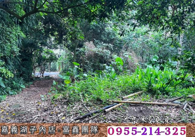 嘉義農地_建地_農建地-5