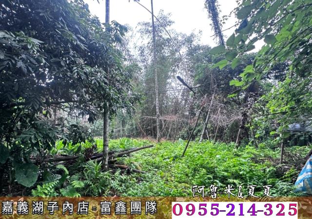 嘉義農地_建地_農建地-6