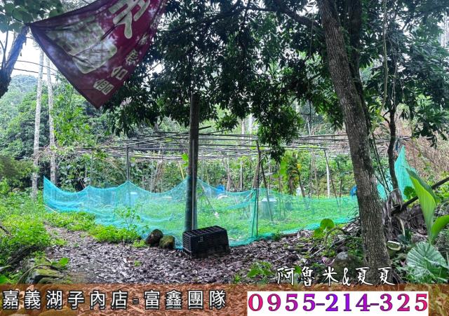 嘉義農地_建地_農建地-7