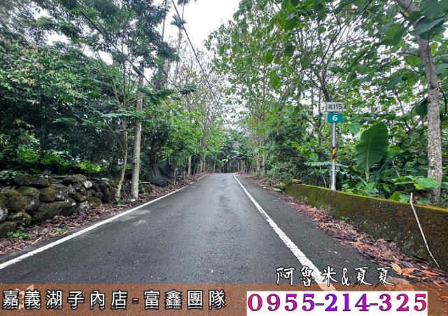 嘉義農地_建地_農建地-8