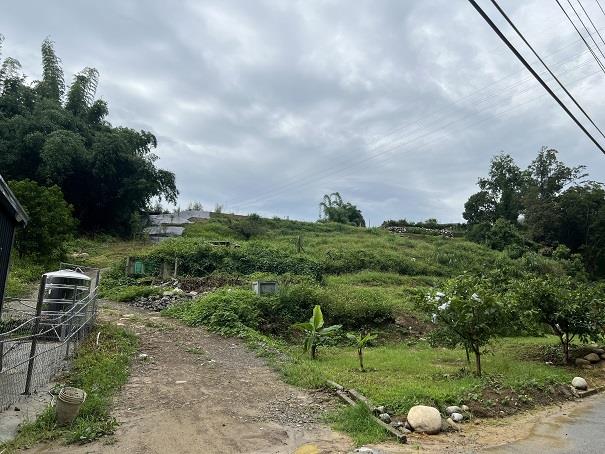 東勢農地_休閒地-3