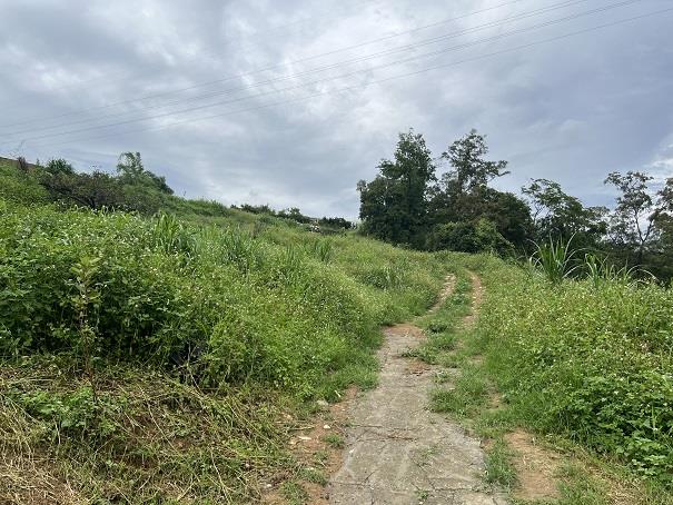 東勢農地_休閒地-4